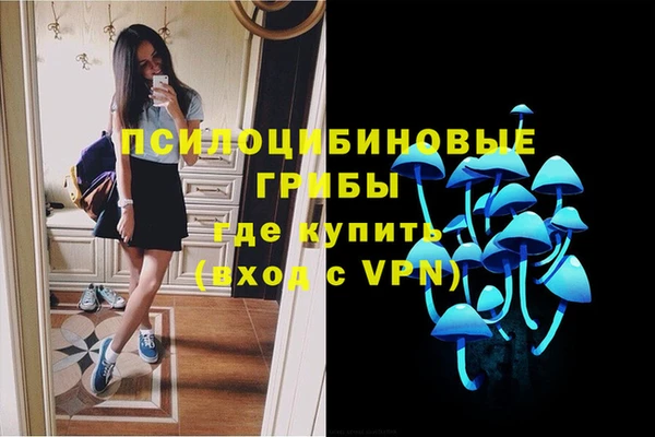 винт Алексин