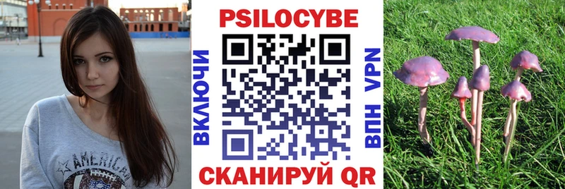 Псилоцибиновые грибы прущие грибы  где найти наркотики  Арзамас 