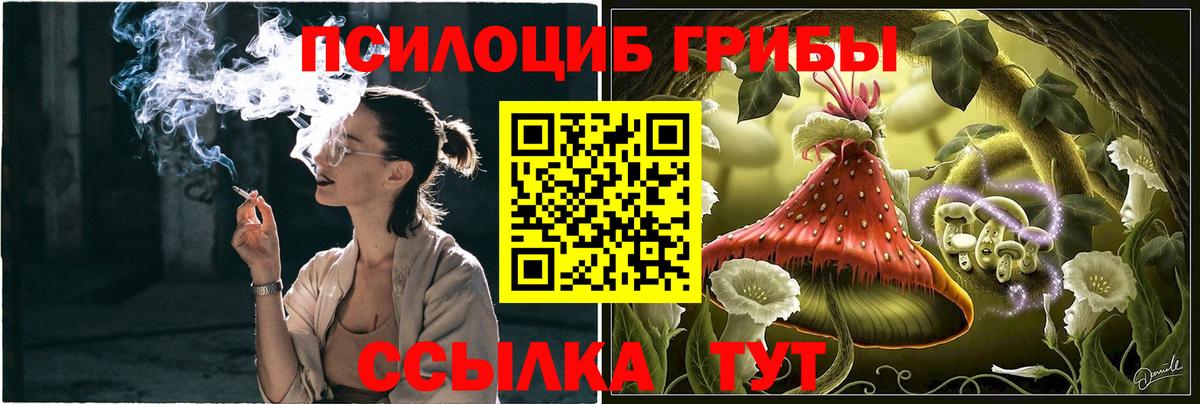 Галлюциногенные грибы GOLDEN TEACHER Арзамас