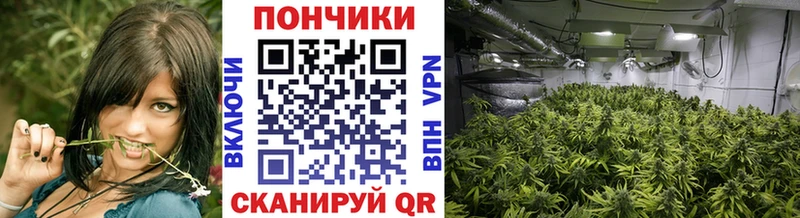 кракен зеркало  где найти наркотики  Арзамас  Шишки марихуана гибрид 
